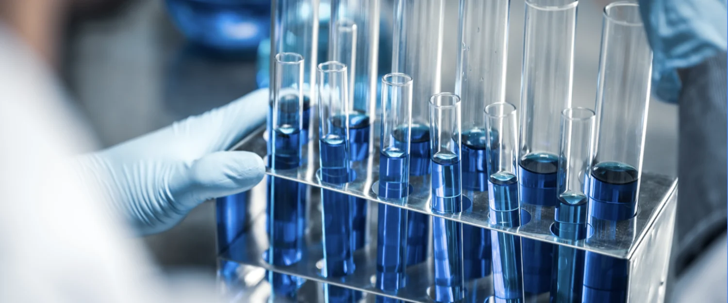 Captura de pantalla 2024 09 05 a las 14 51 18